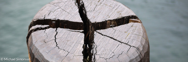 Polder im Wasser, der Kreuzförmig gespalten ist.